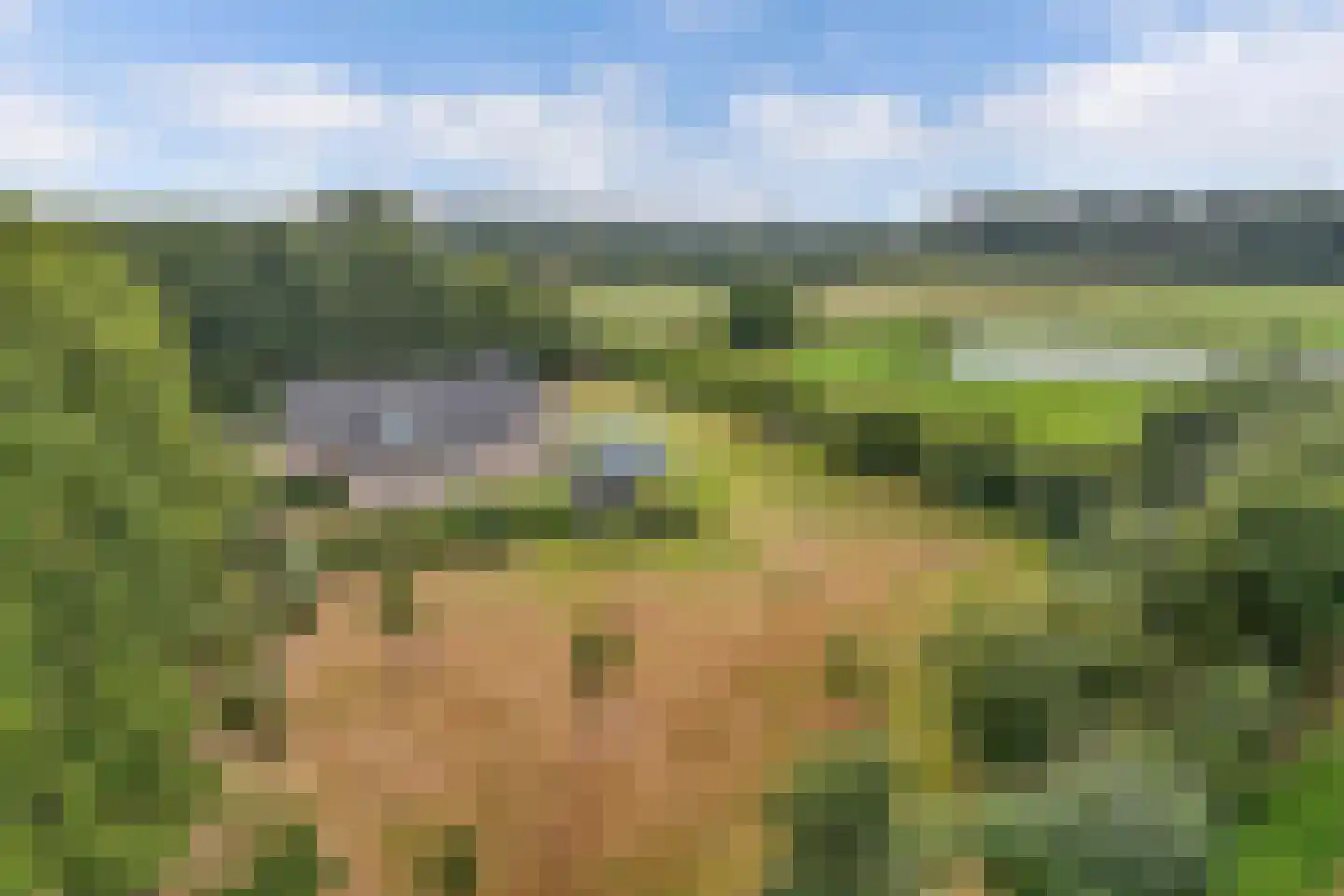 Löhnislaan 6 De Pol thumbnail 68
