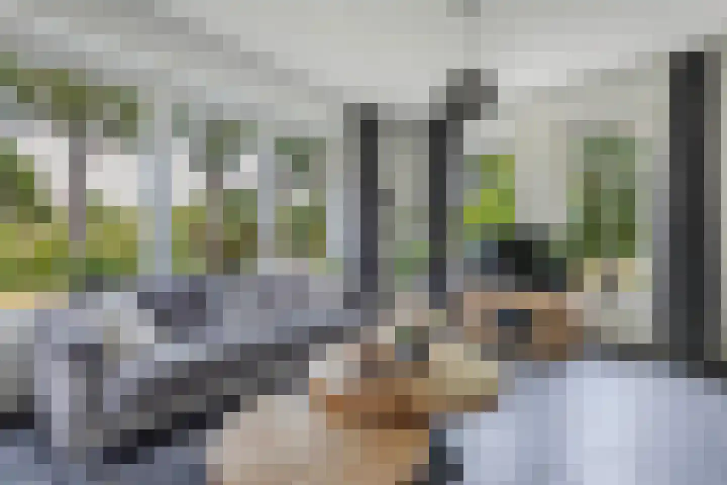 Löhnislaan 6 De Pol thumbnail 7