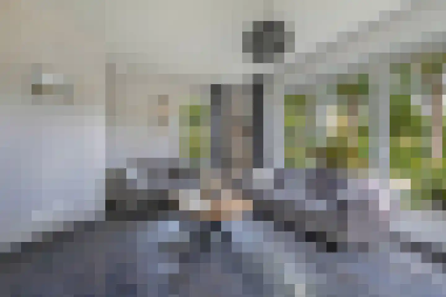 Löhnislaan 6 De Pol thumbnail 8