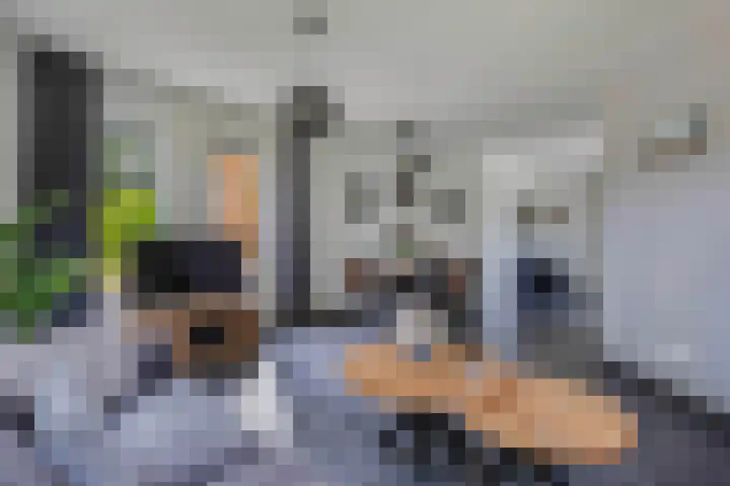 Löhnislaan 6 De Pol thumbnail 9