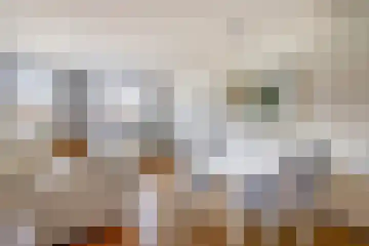 Lohofstraat 8 Venlo thumbnail 8
