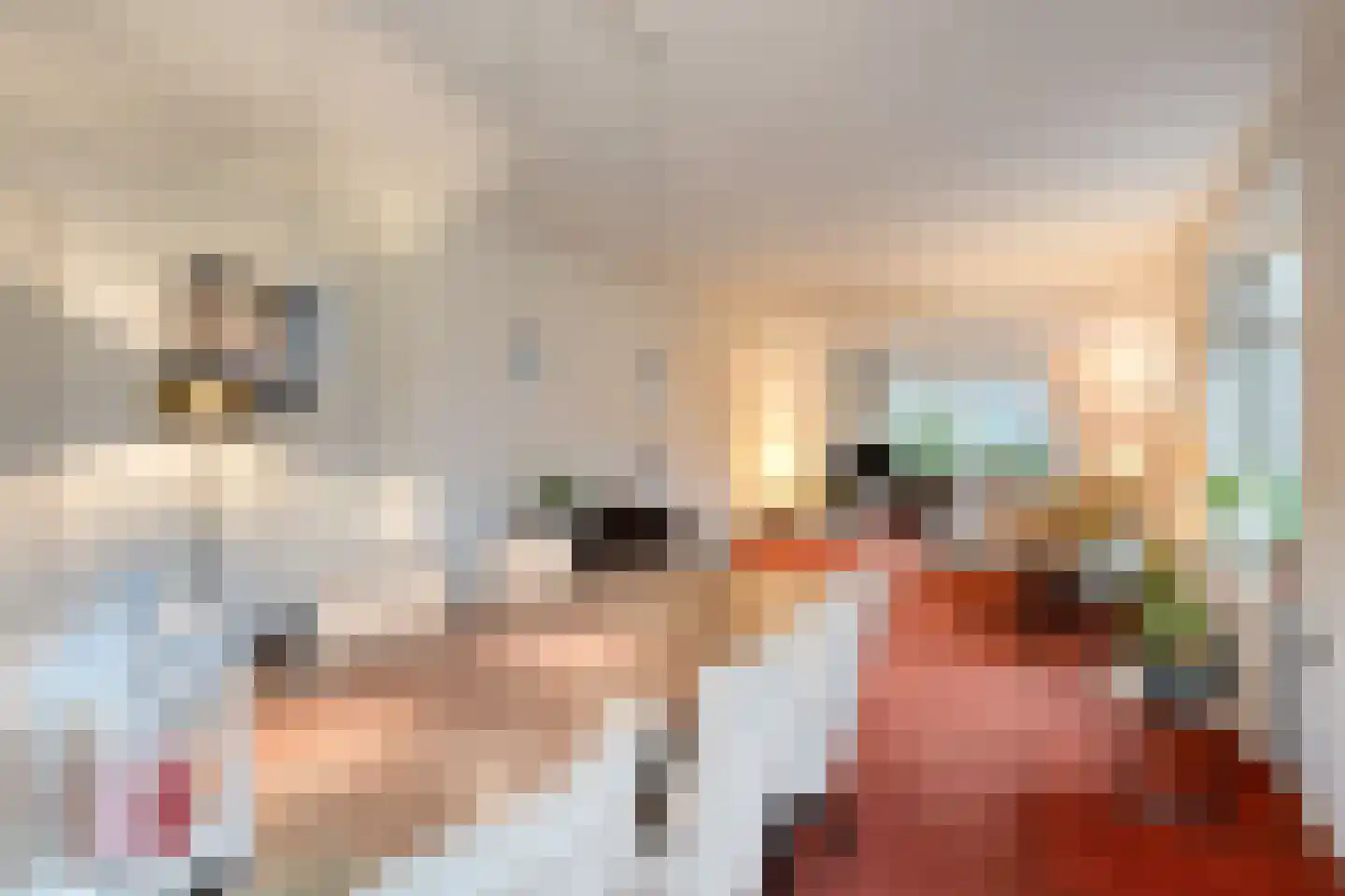 Lohuizerweg 3 Epe thumbnail 18