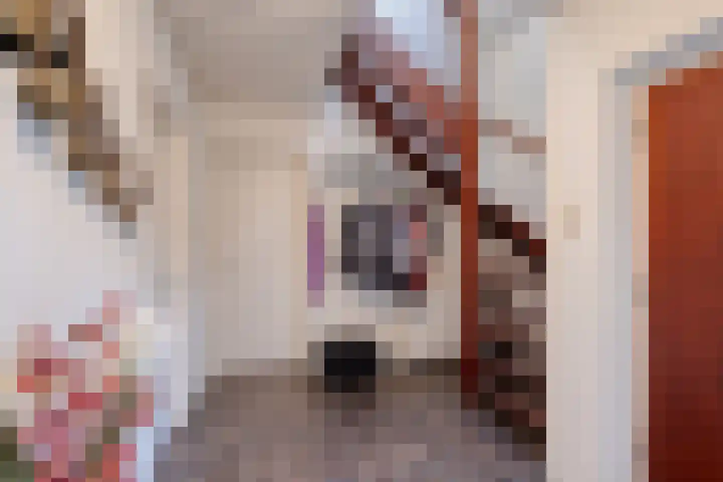 Lohuizerweg 3 Epe thumbnail 24
