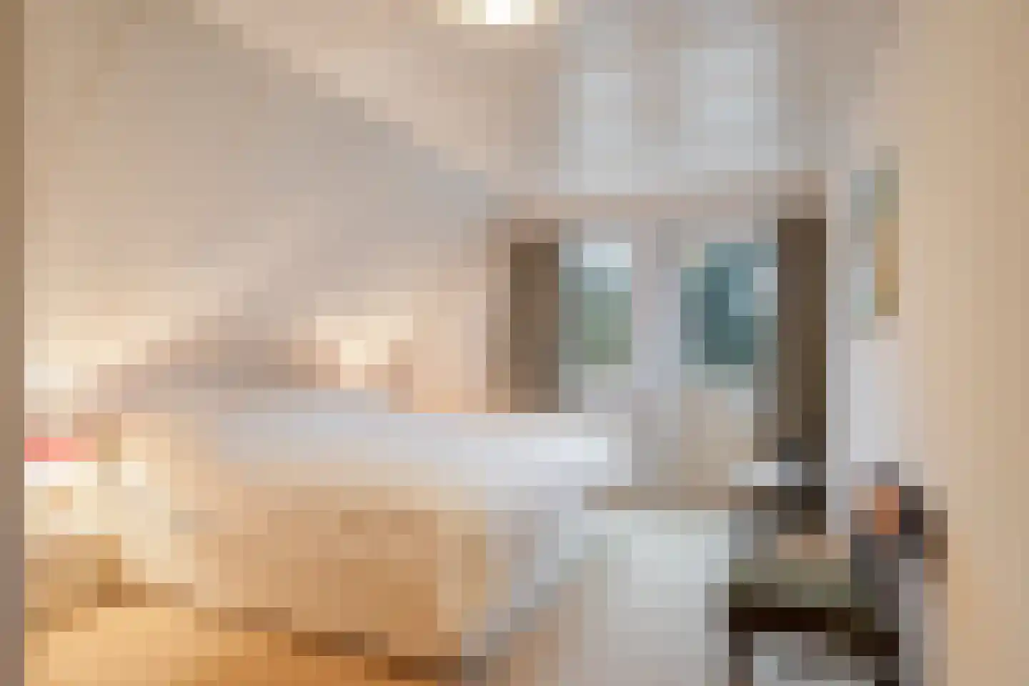 Lohuizerweg 3 Epe thumbnail 26