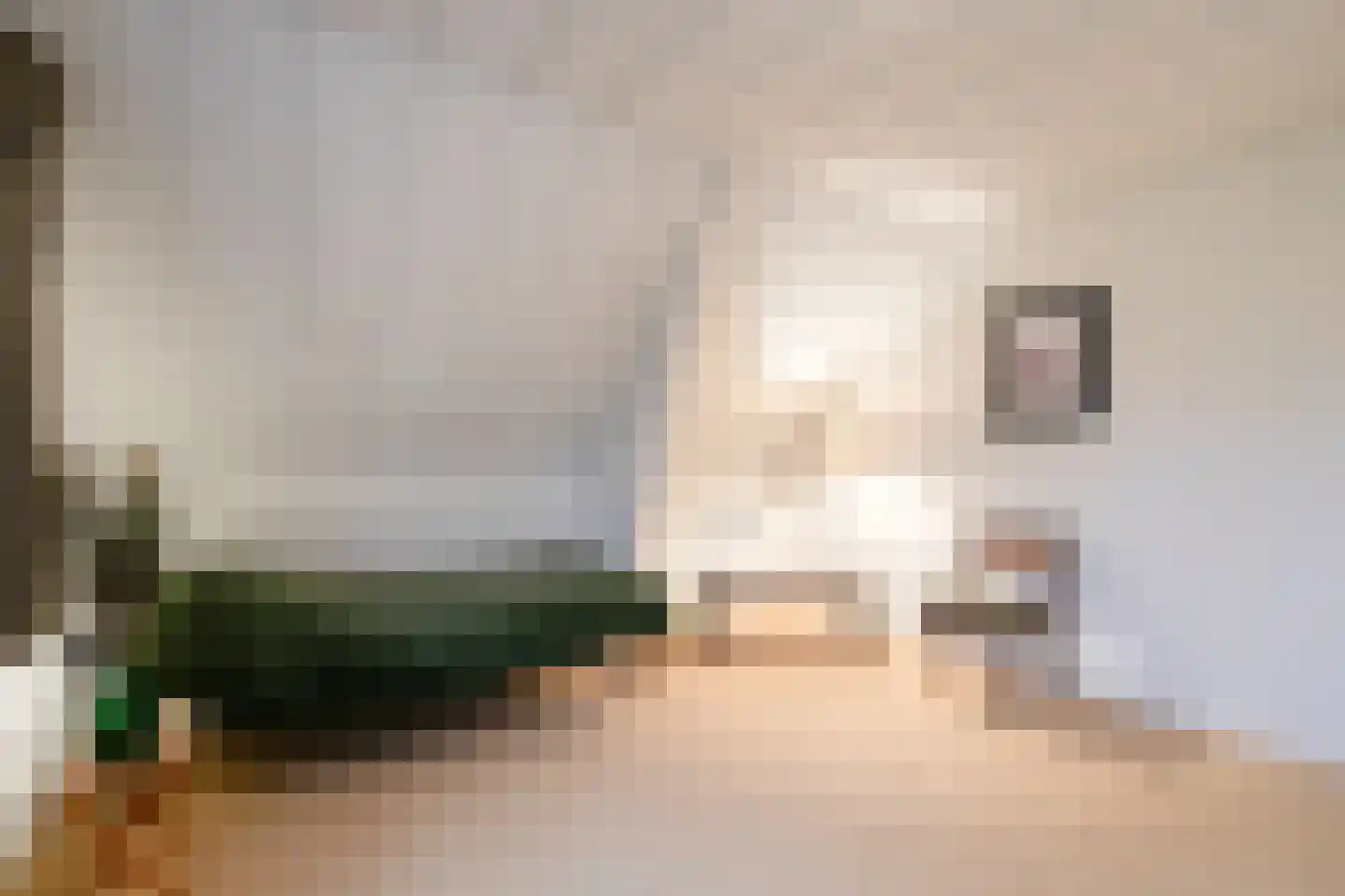 Lohuizerweg 3 Epe thumbnail 29