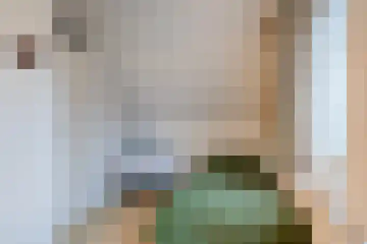 Lohuizerweg 3 Epe thumbnail 31