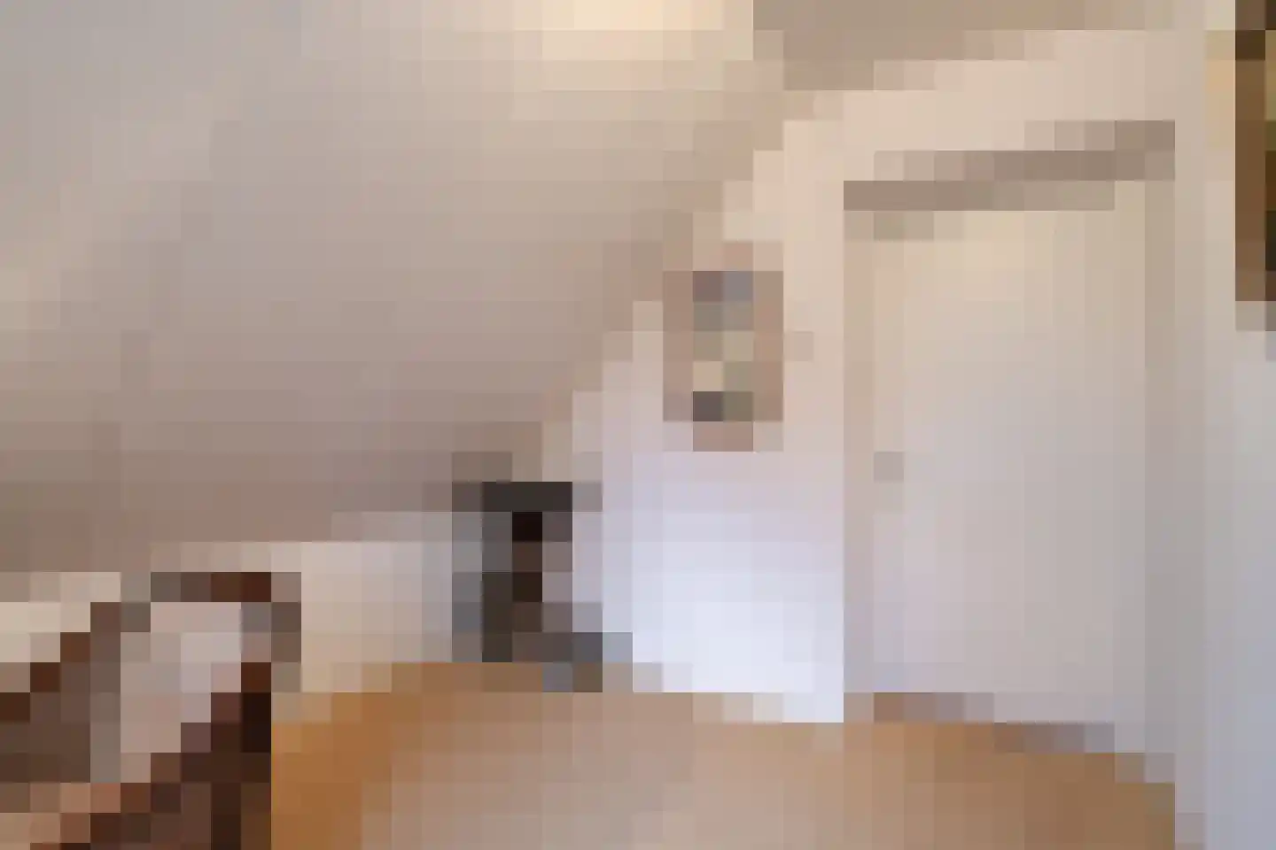 Lohuizerweg 3 Epe thumbnail 31