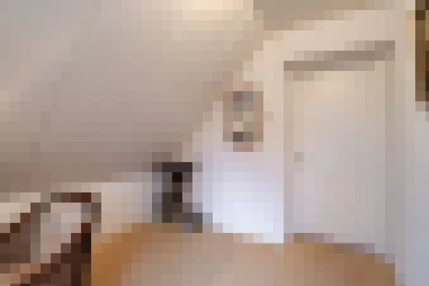 Lohuizerweg 3 Epe thumbnail 32