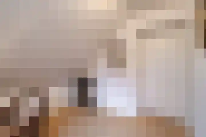 Lohuizerweg 3 Epe thumbnail 33