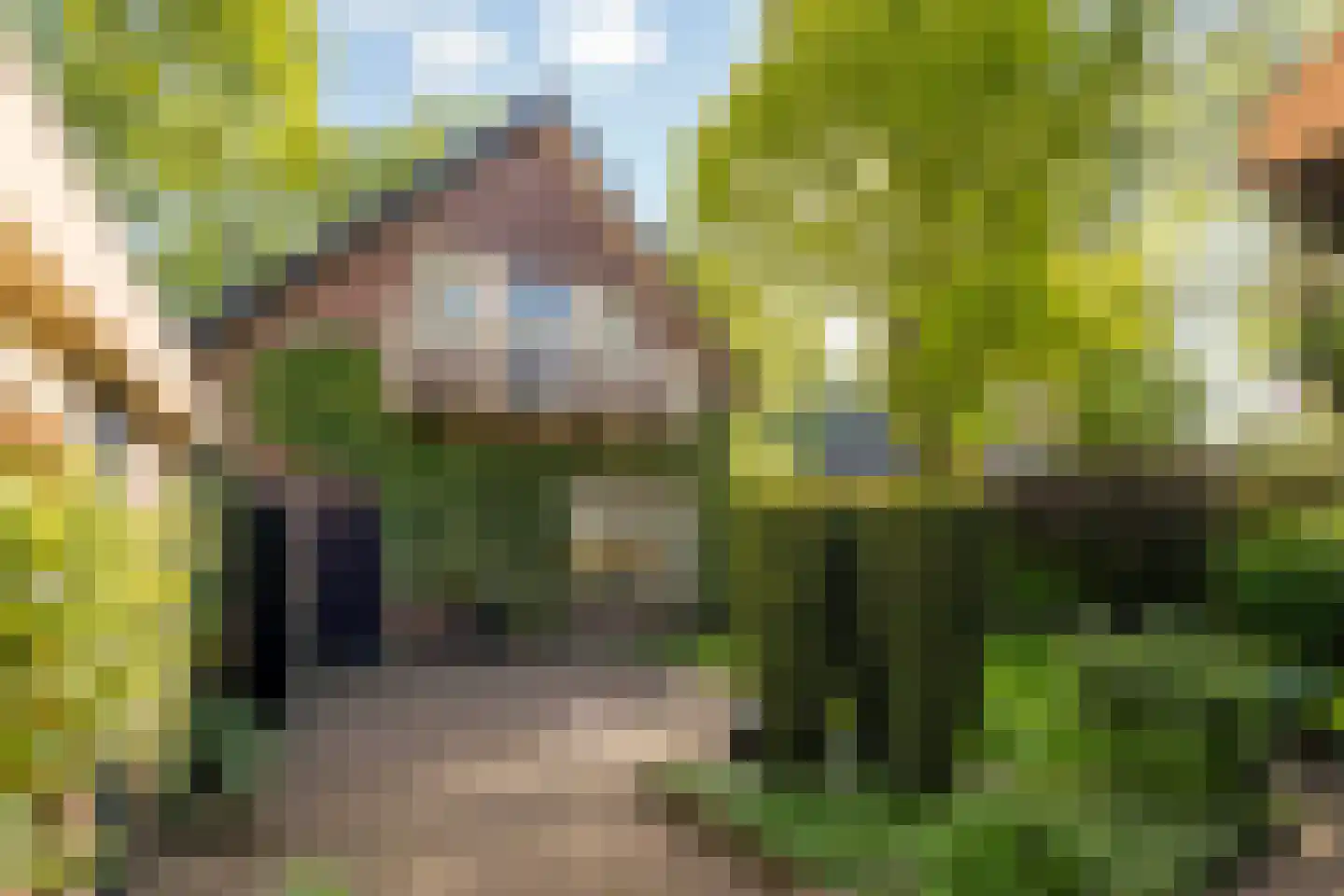 Lohuizerweg 3 Epe thumbnail 37