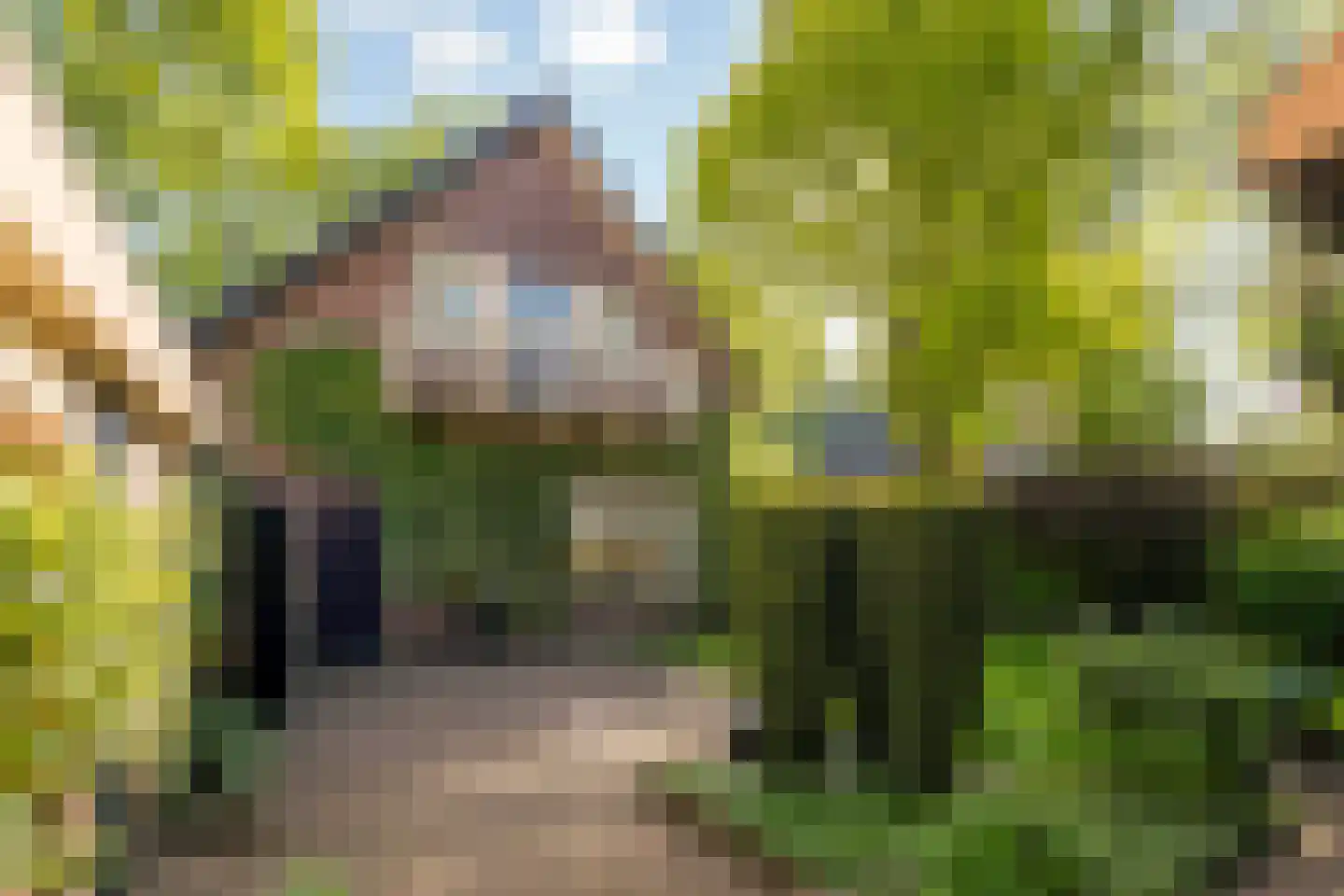 Lohuizerweg 3 Epe thumbnail 38