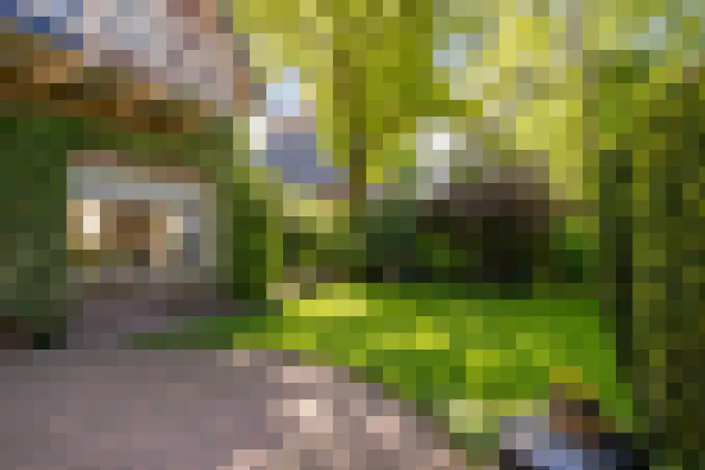 Lohuizerweg 3 Epe thumbnail 39