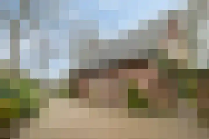 Lohuizerweg 3 Epe thumbnail 40