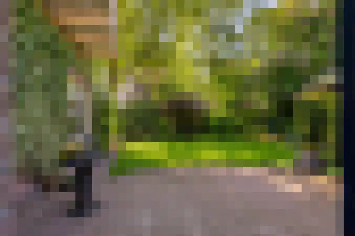 Lohuizerweg 3 Epe thumbnail 41