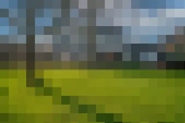 Lohuizerweg 3 Epe thumbnail 41