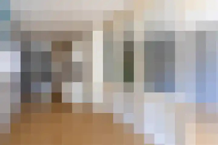 Lohuizerweg 3 Epe thumbnail 42