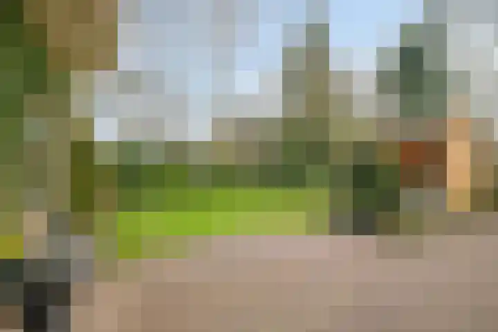 Lohuizerweg 3 Epe thumbnail 43