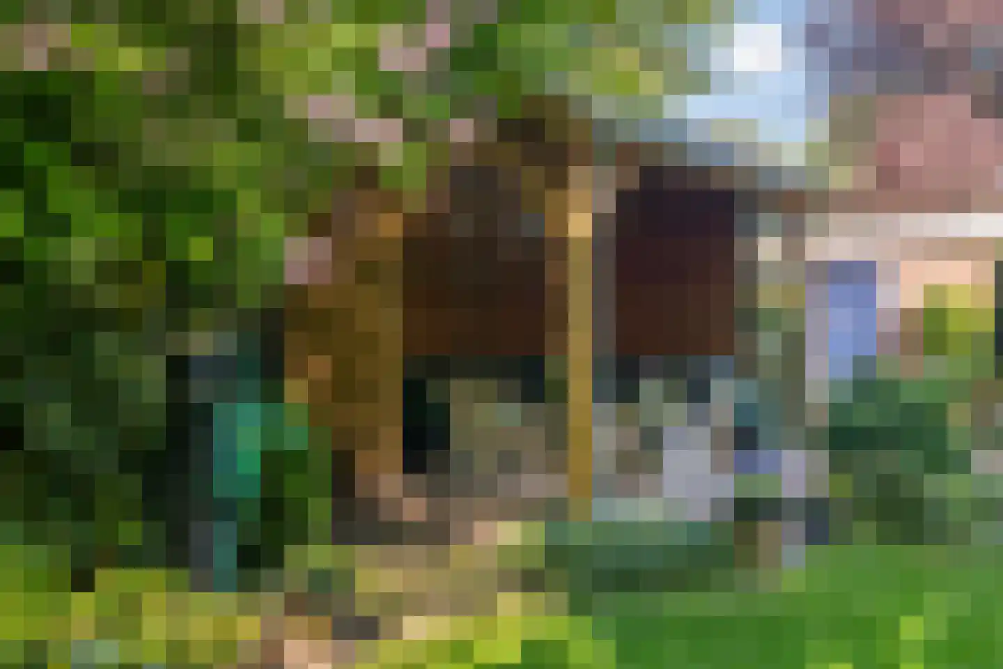 Lohuizerweg 3 Epe thumbnail 43