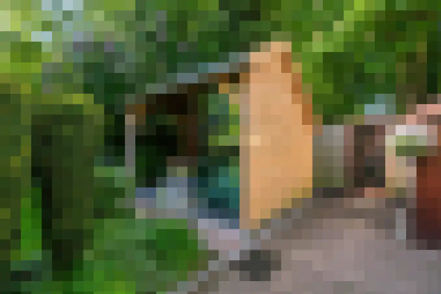Lohuizerweg 3 Epe thumbnail 44