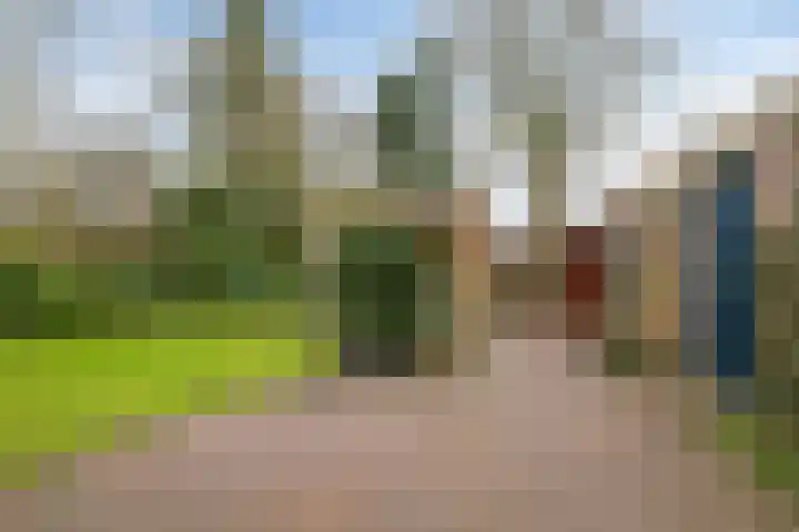 Lohuizerweg 3 Epe thumbnail 44