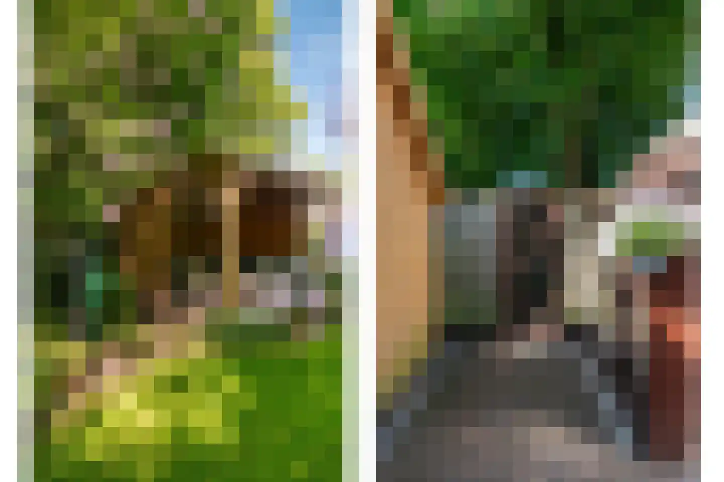 Lohuizerweg 3 Epe thumbnail 46