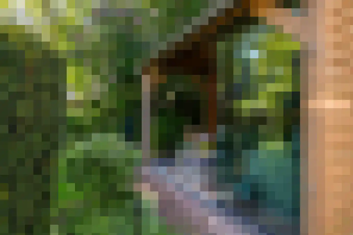 Lohuizerweg 3 Epe thumbnail 46