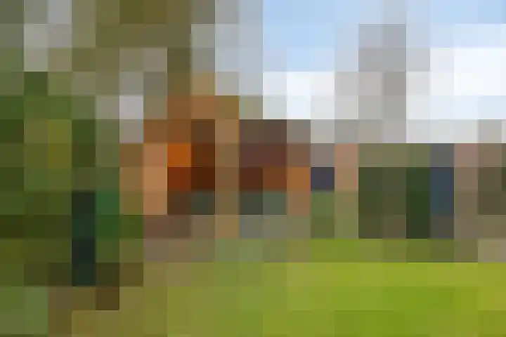 Lohuizerweg 3 Epe thumbnail 46