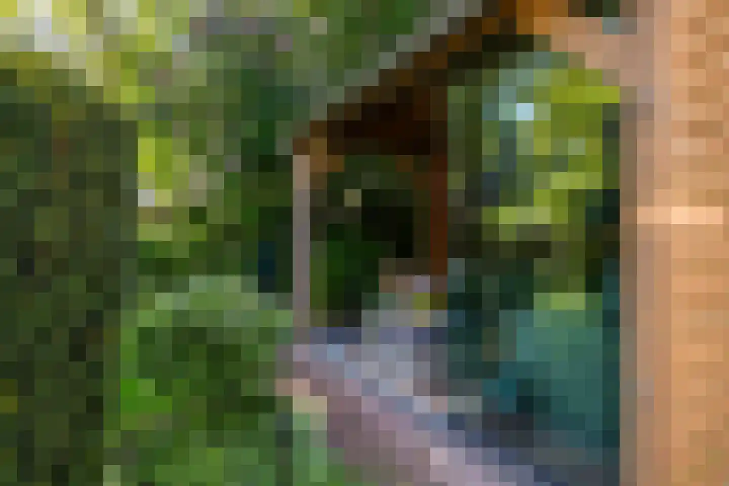 Lohuizerweg 3 Epe thumbnail 47