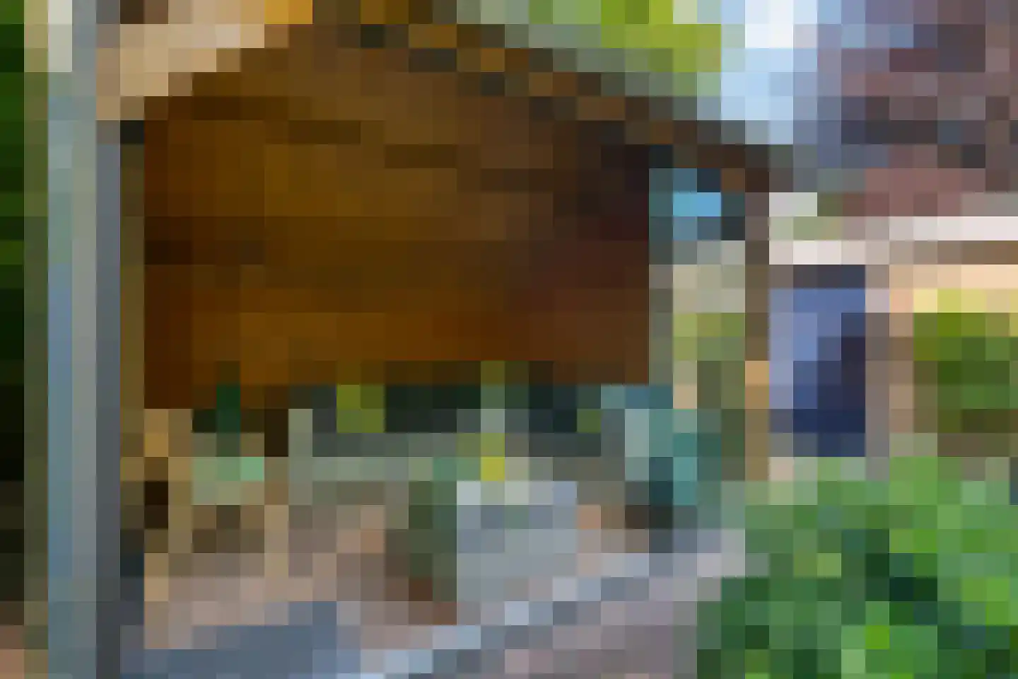 Lohuizerweg 3 Epe thumbnail 48