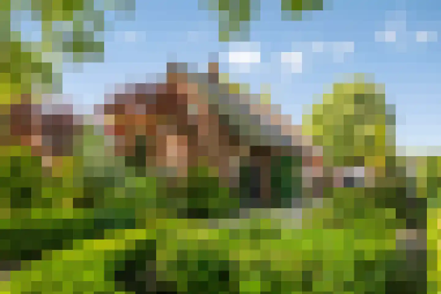 Lohuizerweg 3 Epe thumbnail 49