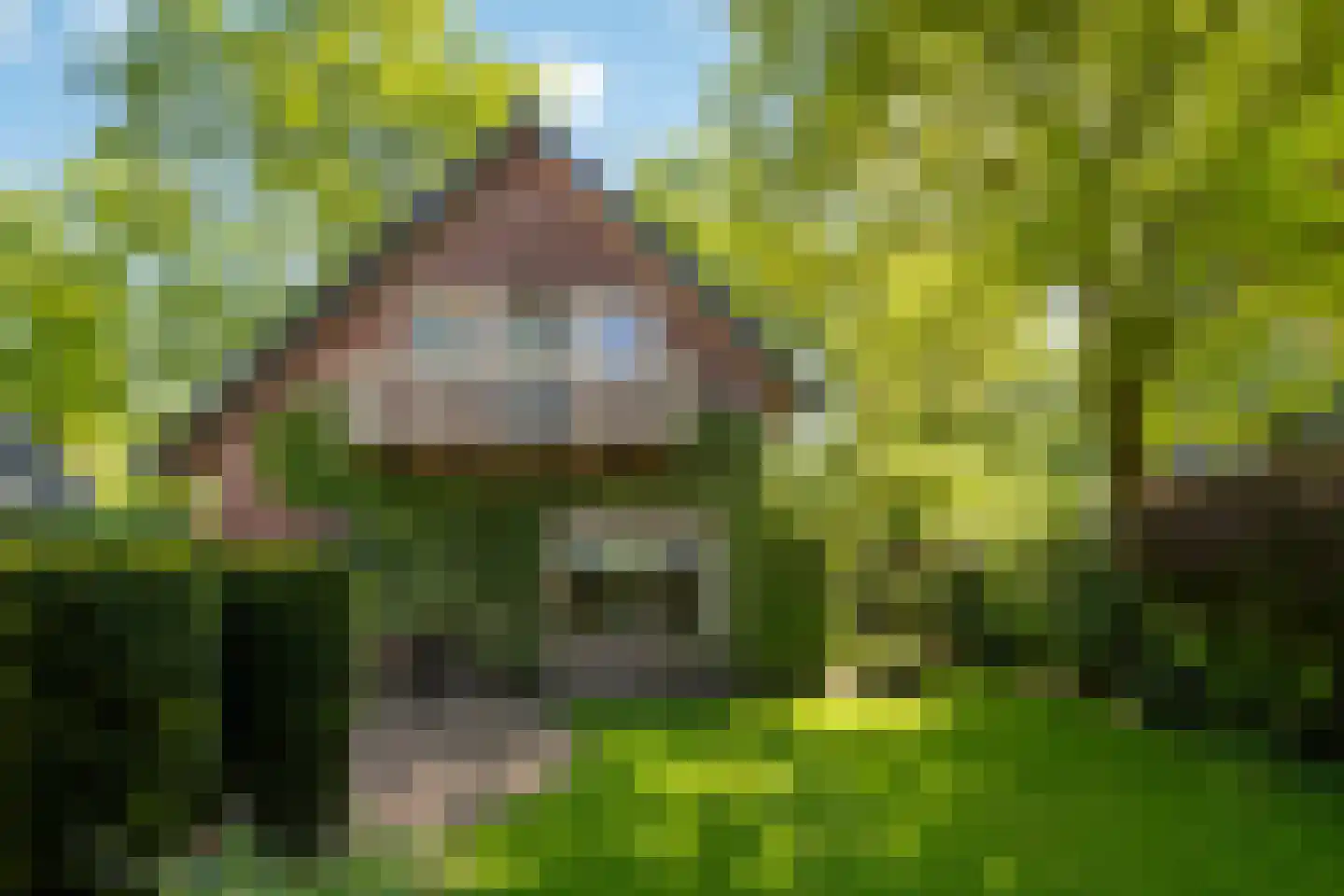 Lohuizerweg 3 Epe thumbnail 5