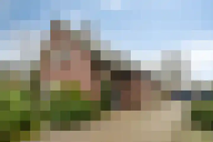 Lohuizerweg 3 Epe thumbnail 5