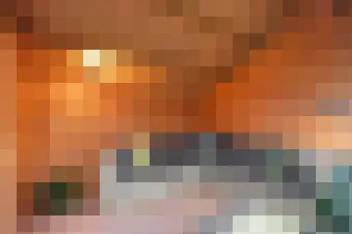 Lohuizerweg 3 Epe thumbnail 50