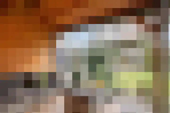 Lohuizerweg 3 Epe thumbnail 51