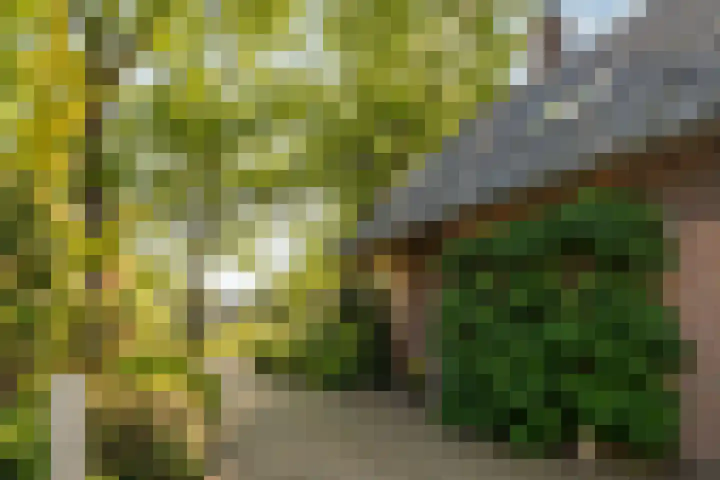 Lohuizerweg 3 Epe thumbnail 51