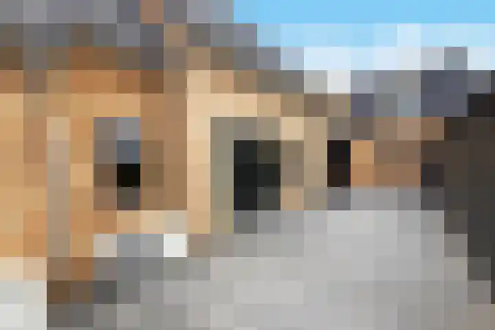 Lohuizerweg 3 Epe thumbnail 53