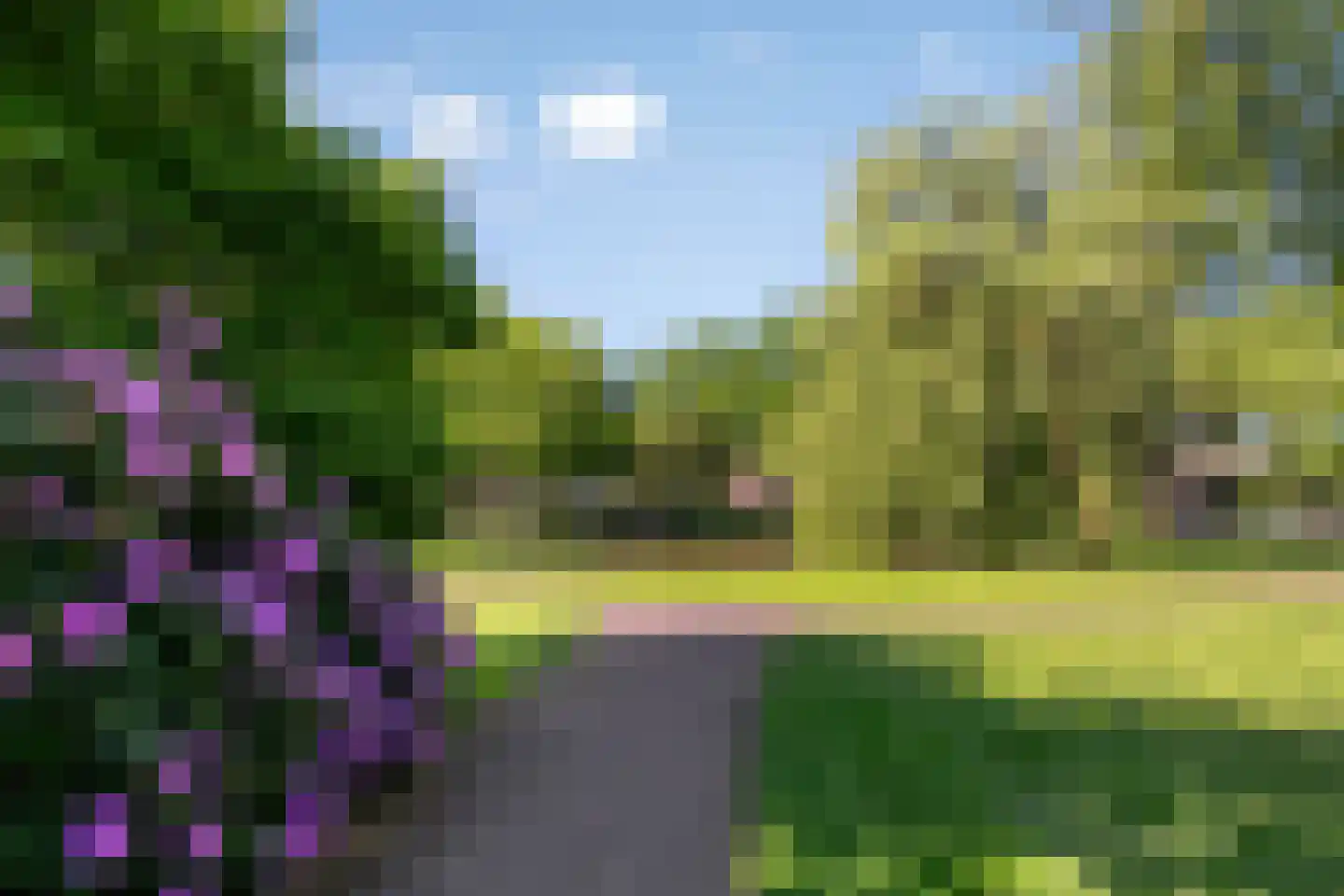 Lohuizerweg 3 Epe thumbnail 53