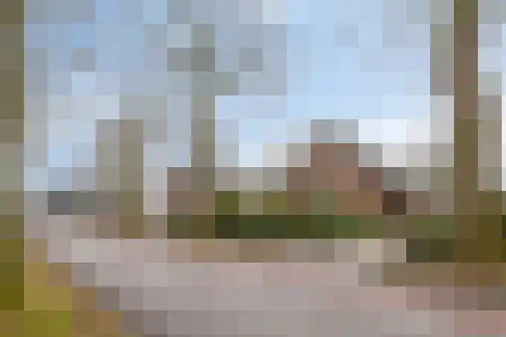 Lohuizerweg 3 Epe thumbnail 54