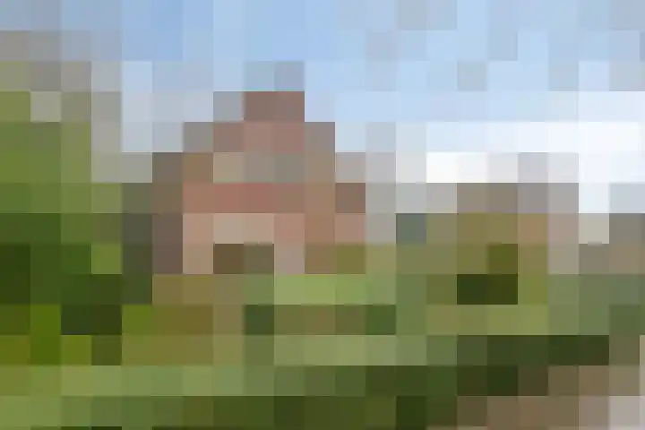 Lohuizerweg 3 Epe thumbnail 55