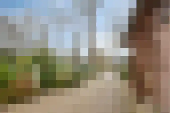 Lohuizerweg 3 Epe thumbnail 57