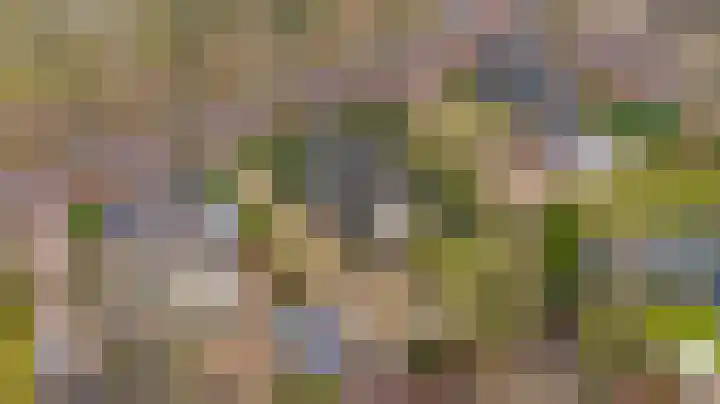 Lohuizerweg 3 Epe thumbnail 58