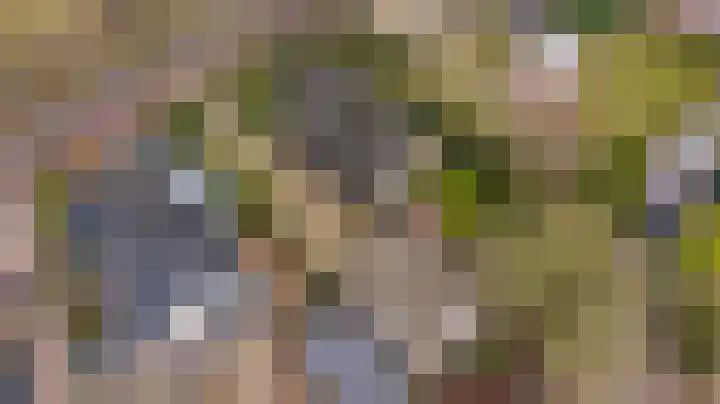 Lohuizerweg 3 Epe thumbnail 59