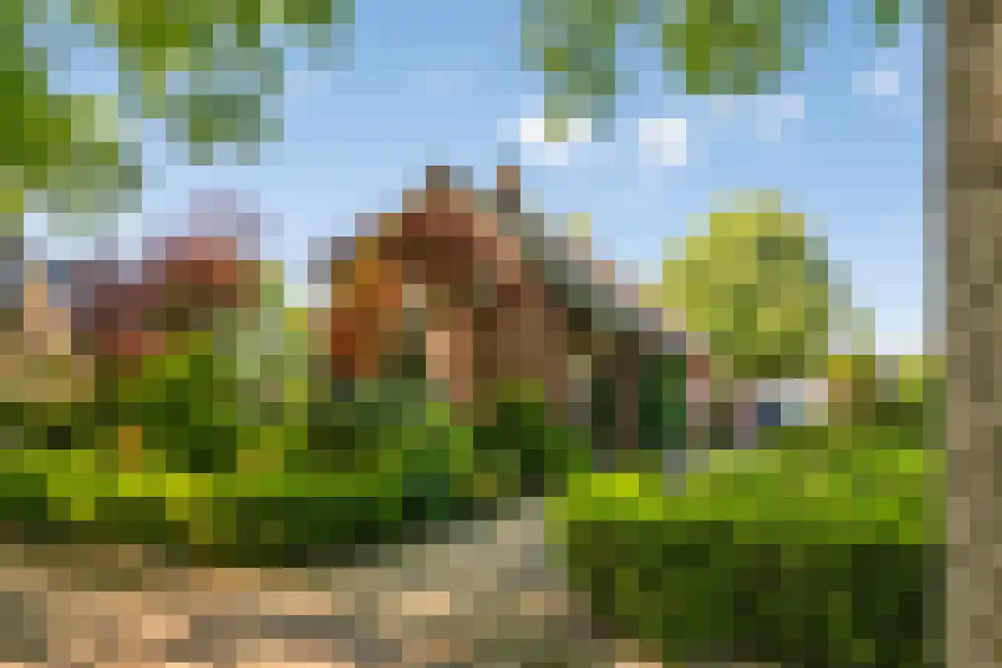 Lohuizerweg 3 Epe thumbnail 6