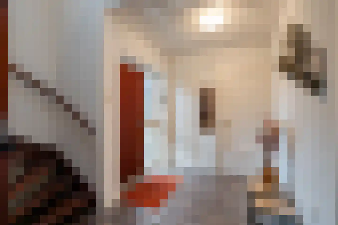 Lohuizerweg 3 Epe thumbnail 8