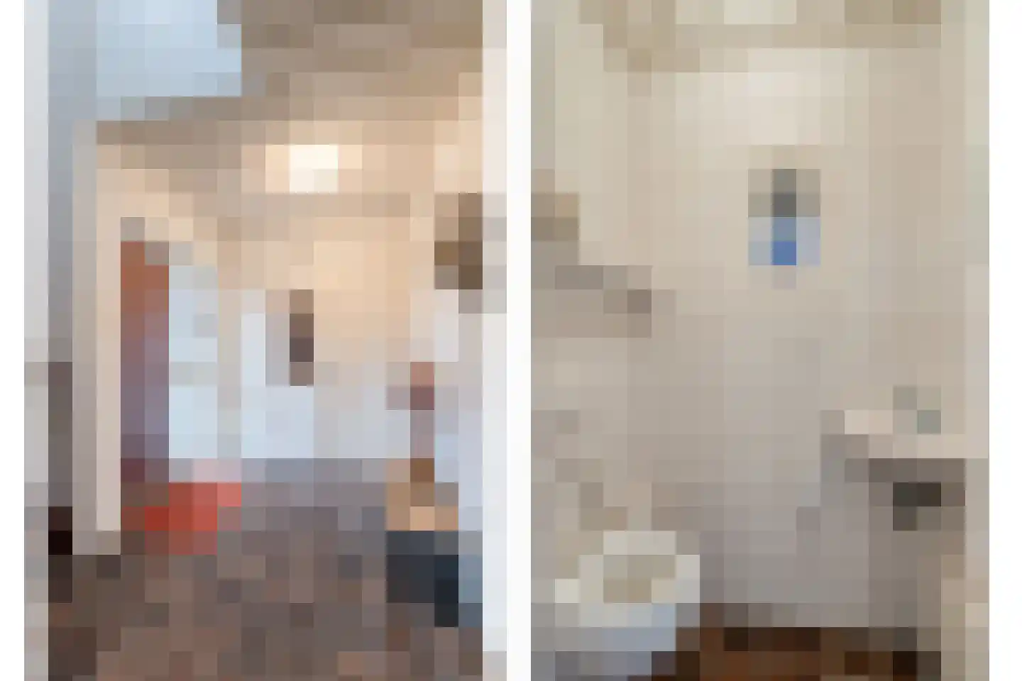 Lohuizerweg 3 Epe thumbnail 9