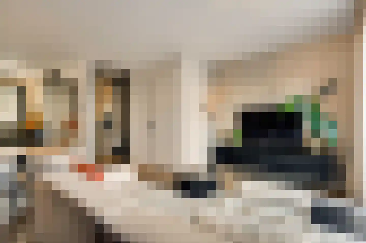 Loijerdonk 14 Helmond thumbnail 13