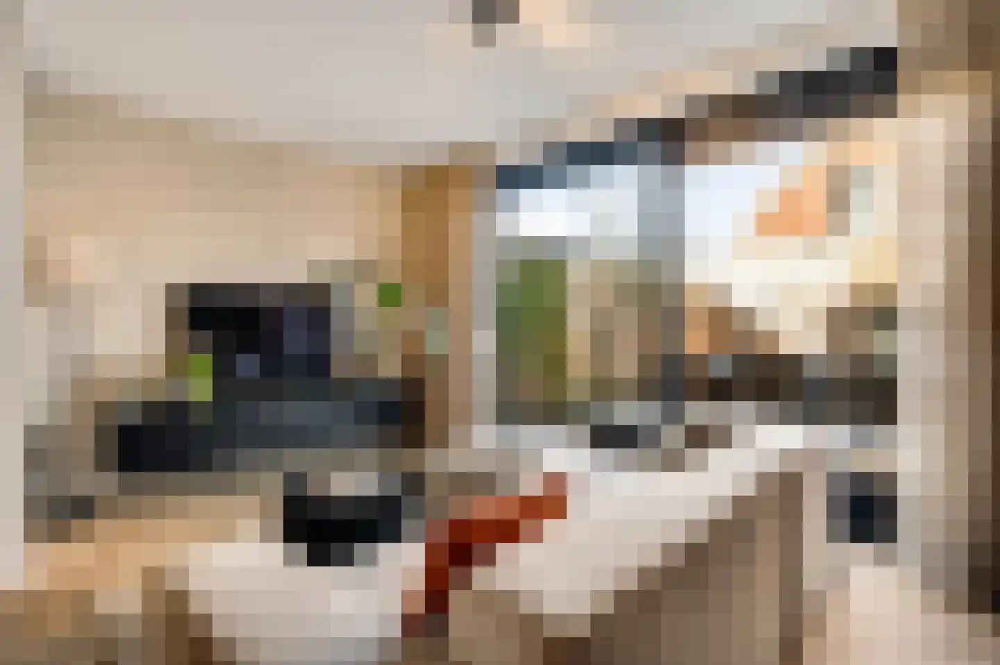 Loijerdonk 14 Helmond thumbnail 15
