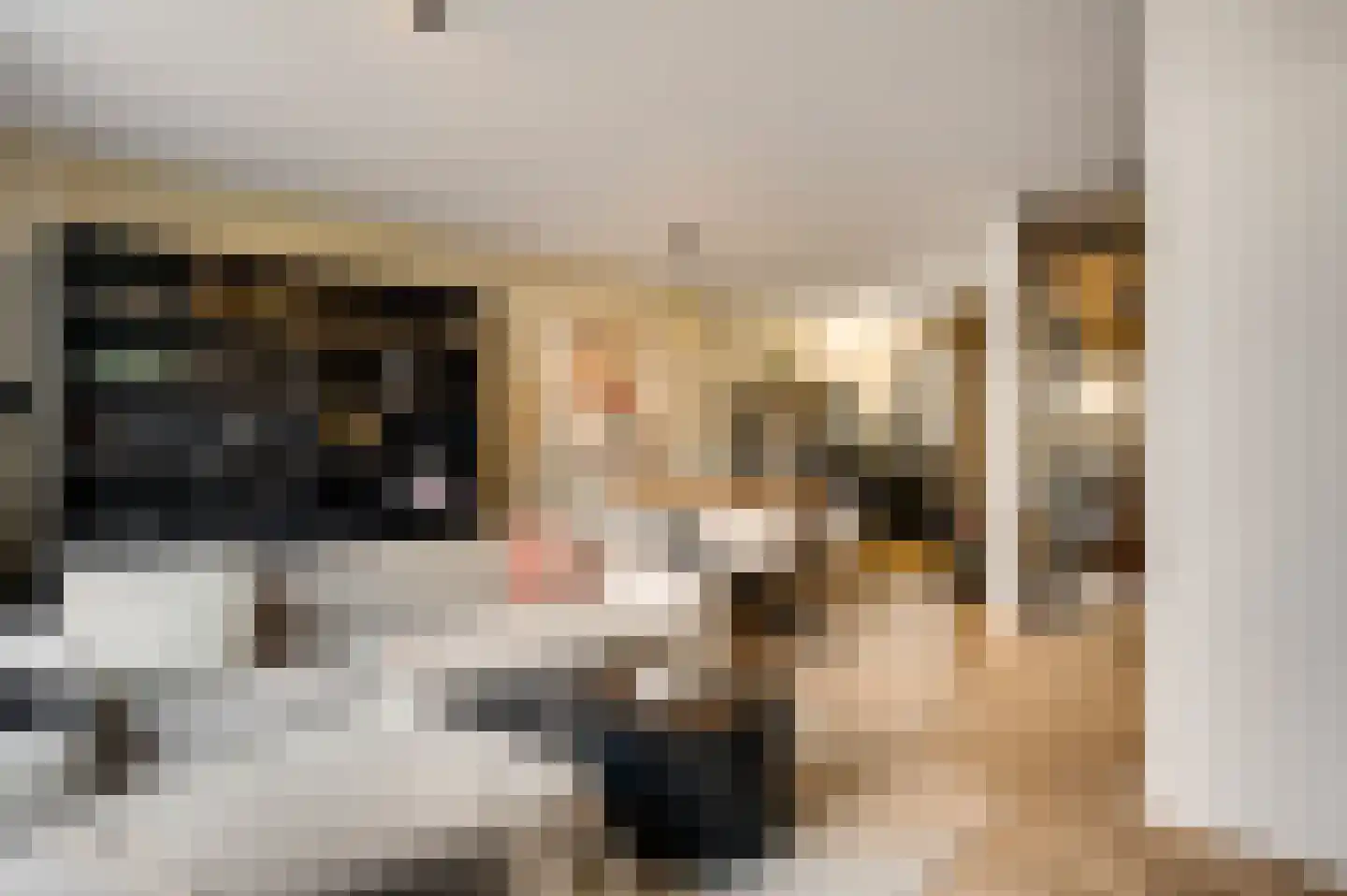 Loijerdonk 14 Helmond thumbnail 16