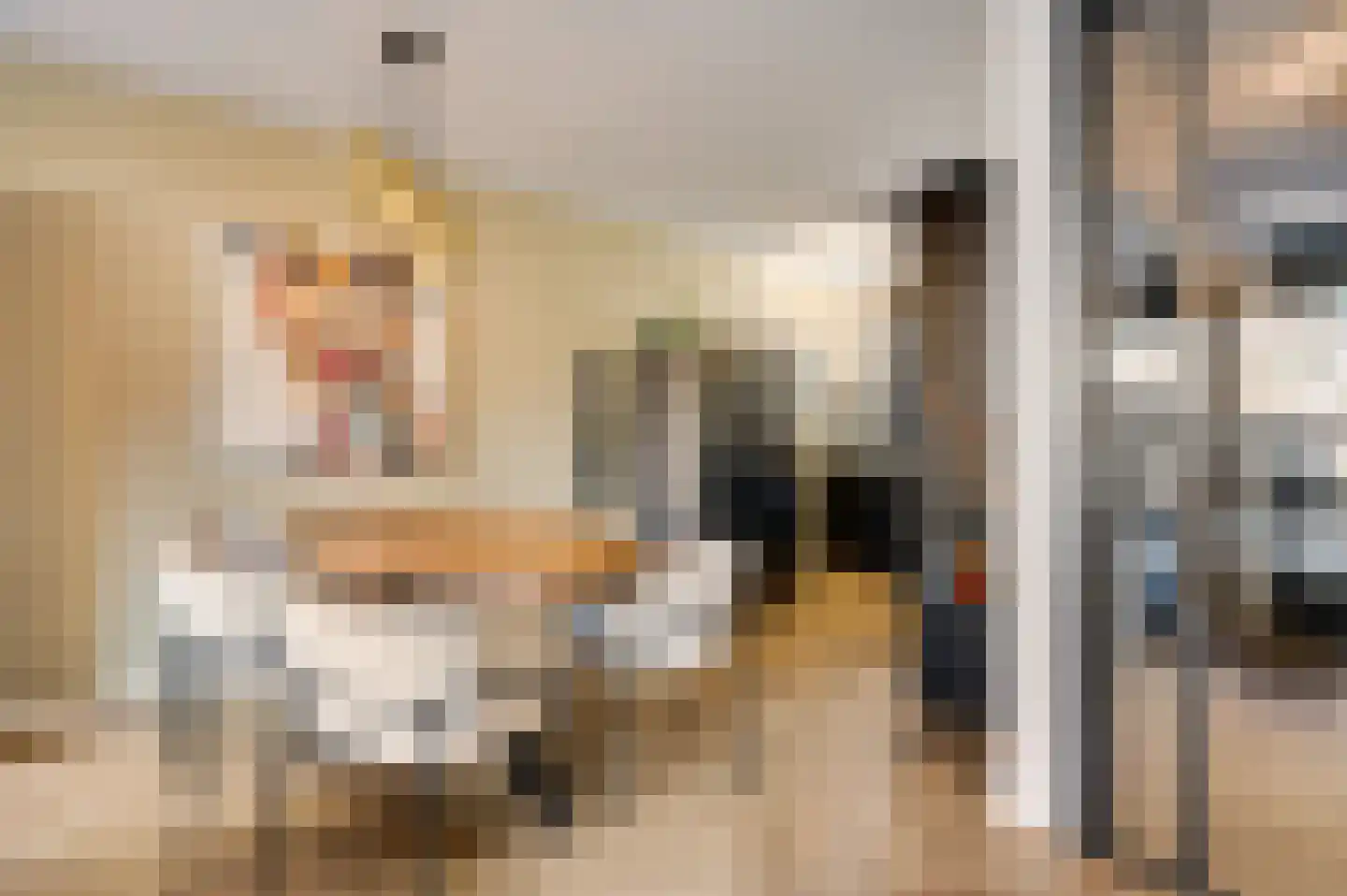 Loijerdonk 14 Helmond thumbnail 17