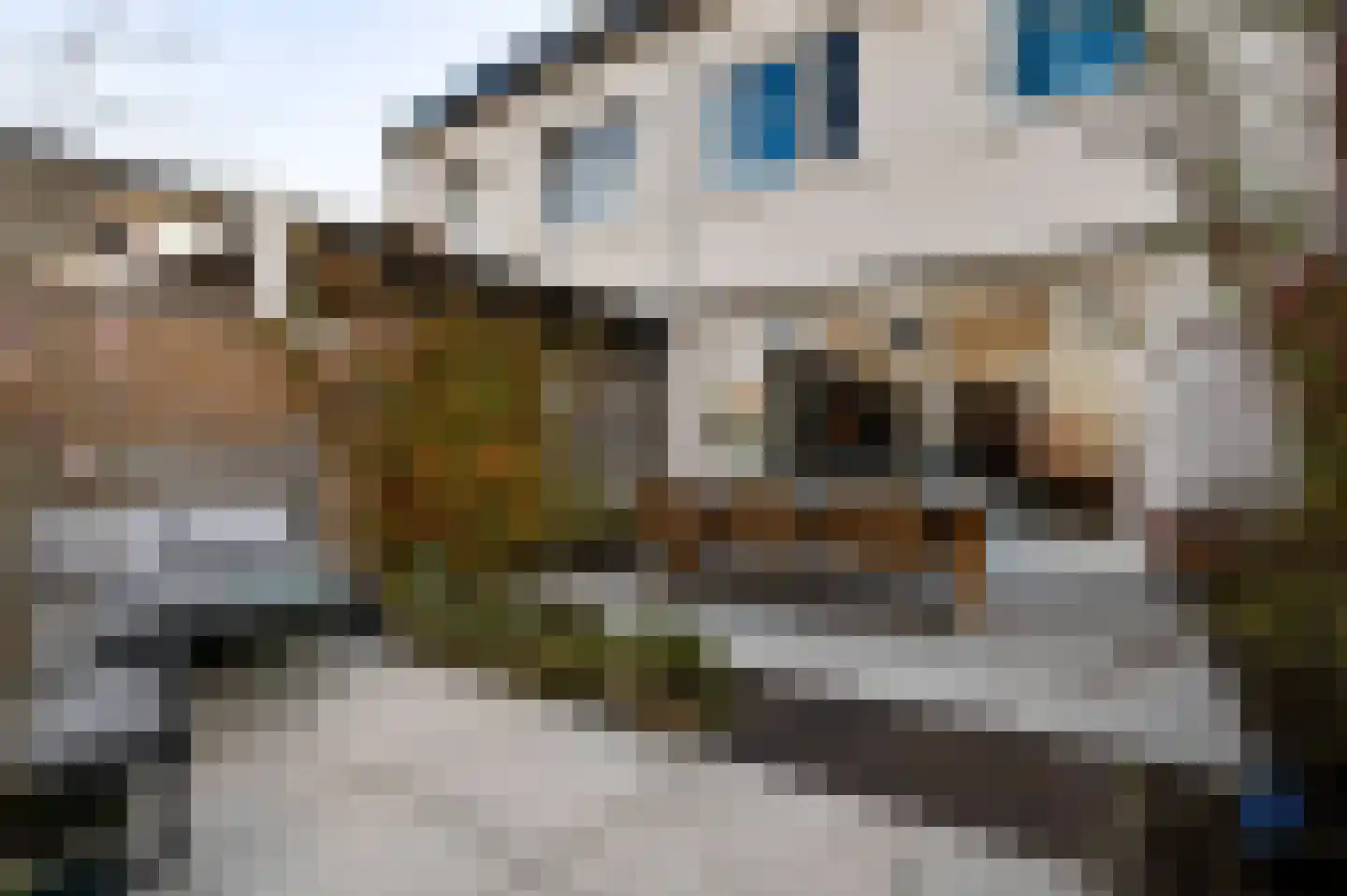Loijerdonk 14 Helmond thumbnail 33
